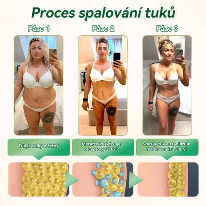 ✅ Doporučilo přes 100 000 lidí |Oficiální obchod | 𝑆𝑇𝐷𝐸𝐼® 💎💎 𝐺𝐿𝑃-1 𝐻𝑢𝑏𝑛𝑢𝑡í Ú𝑠𝑡𝑛í ř𝑒š𝑒𝑛í - Obezita, kardiovaskulární onemocnění, cukrovka, spánková apnoe, problémy s klouby a další